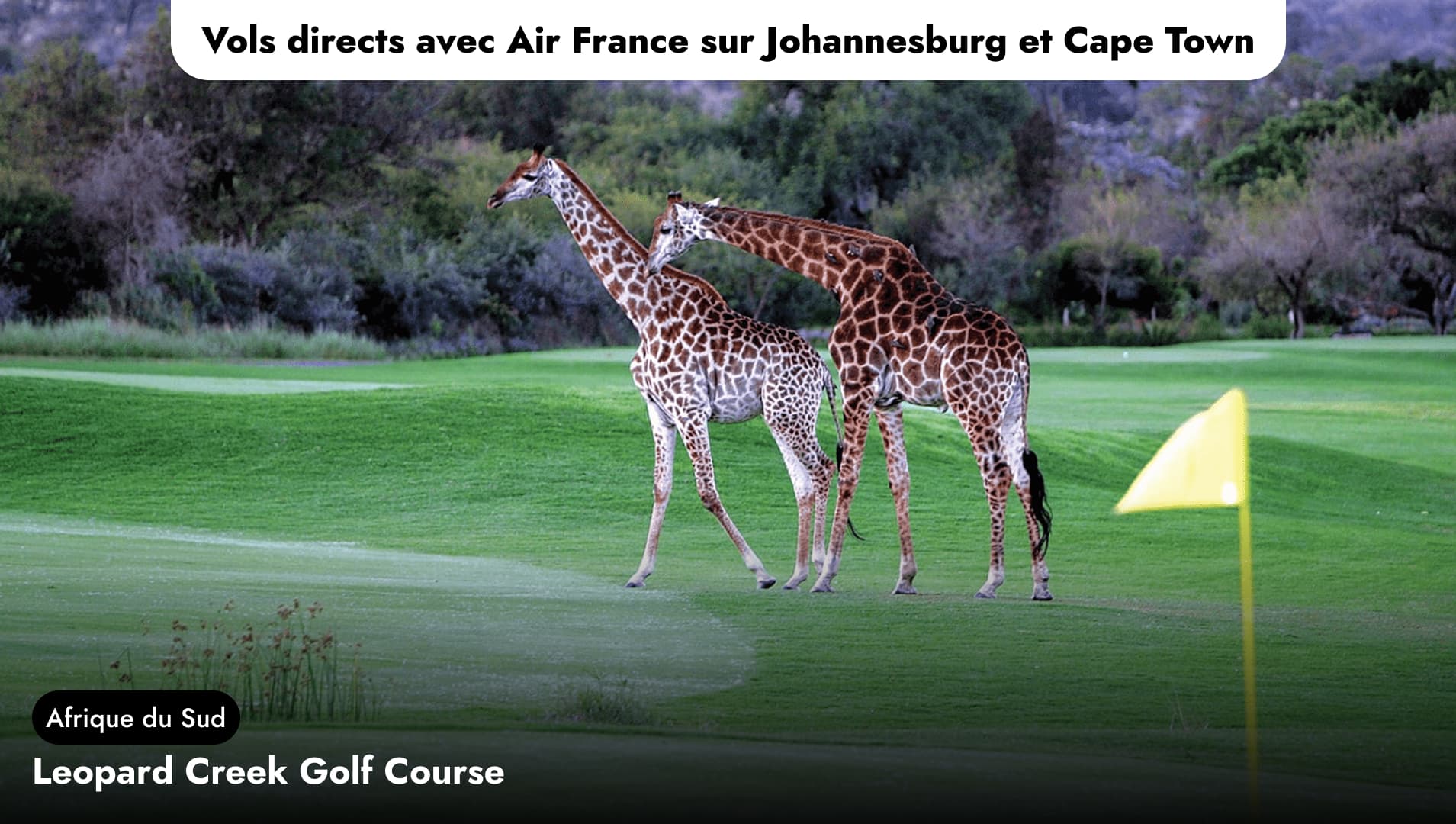 Cap sur le golf avec Air France - Leopard Creek Golf Course