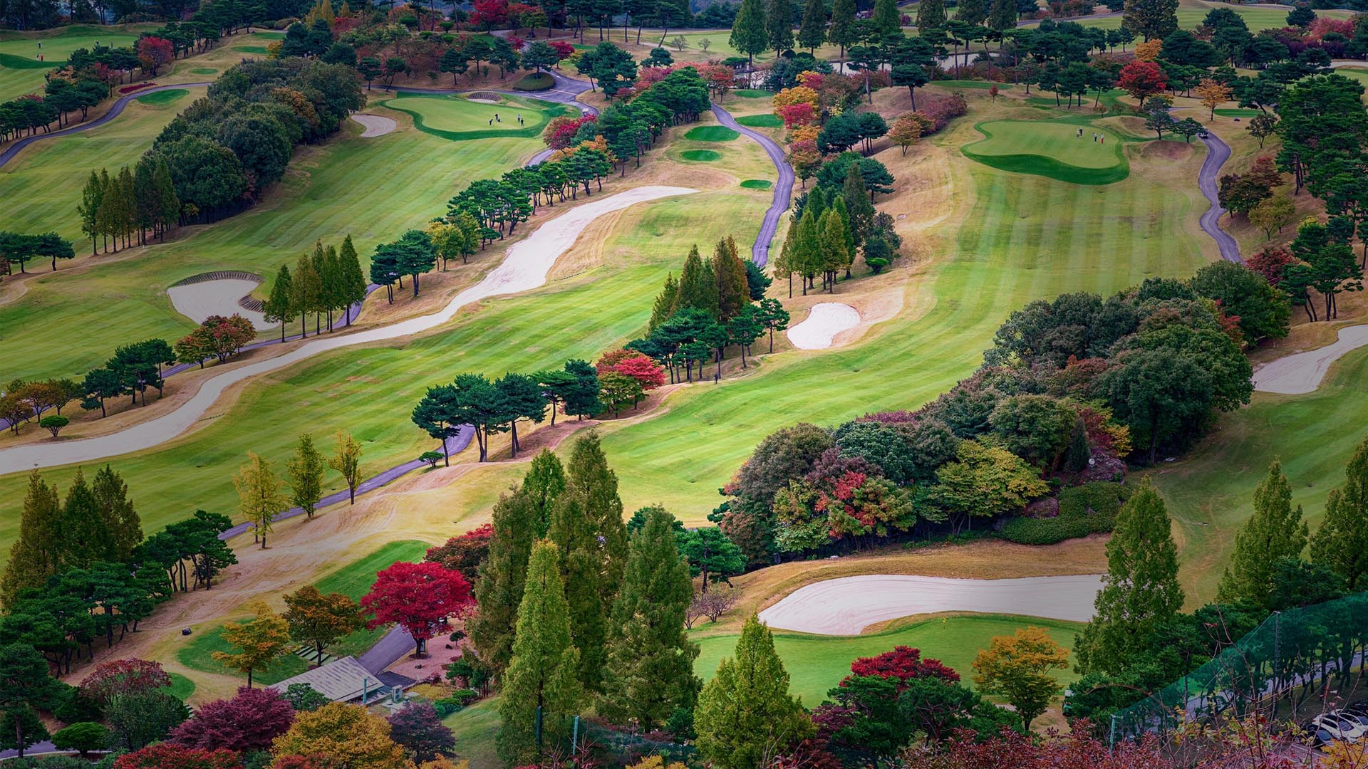 Les origines du golf en France